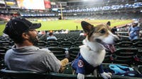 Houston’s top dog and cat names for 2026 have been revealed