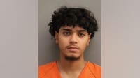 Harris County man arrested after allegedly stabbing ex-girlfriend, two dogs found shot dead