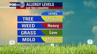 Houston weather: Pleasant Wednesday ahead, allergens increase