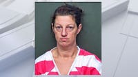 San Jacinto County Jail employee arrested on felony drug charges