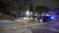 Greens Road shooting: Man dead after being shot, crashing into tree in North Houston