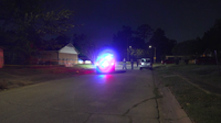 Houston homeowner's son shoots man found in backyard, police say