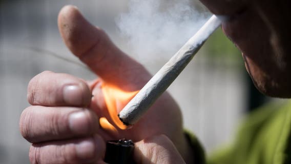Houston Proposition A 2026: What it means for marijuana, no-knock warrants