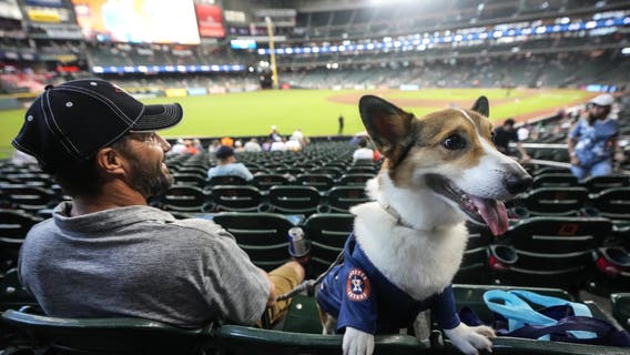 Houston’s top dog and cat names for 2026 have been revealed