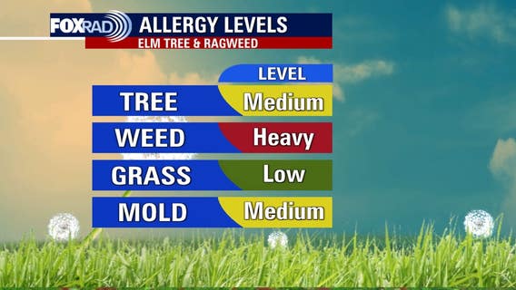 Houston weather: Pleasant Wednesday ahead, allergens increase
