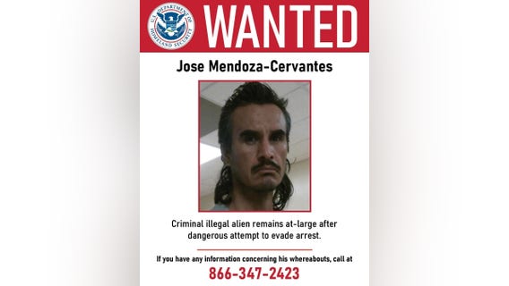 DHS confirms target in Harris County ICE operation crash as new witnesses come forward in investigation