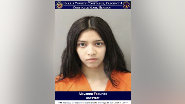 Humble restaurant employee stabbed at work; woman arrested