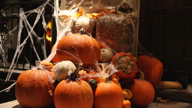 Houston pumpkin composting program 2026: Drop-off locations, dates and rules
