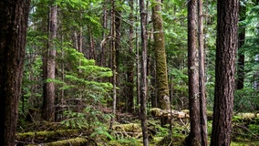 Berks County deer hunter fatally shoots himself with crossbow