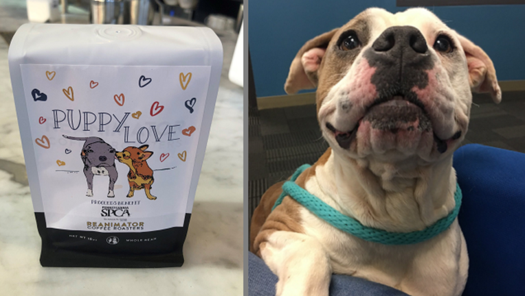 ReAnimator selling 'Puppy Love' coffee blend