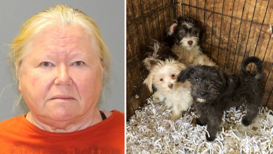 More than 150 dogs were seized from Donna Roberts' Oakshade Road property in Shamong Township.