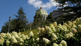 Pa. mail-in, absentee ballot applications surge for June primary