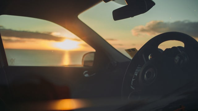 Woman charged in hot car deaths of 3 dogs freed on bail