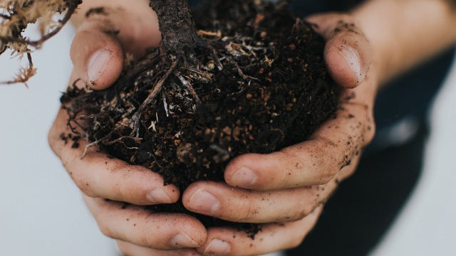 Washington is 1st state to allow composting of human bodies