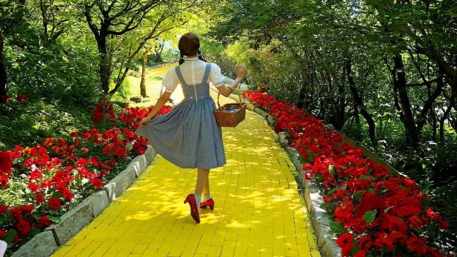 North Carolina's popular 'Wizard of Oz' theme park opening for tours this summer