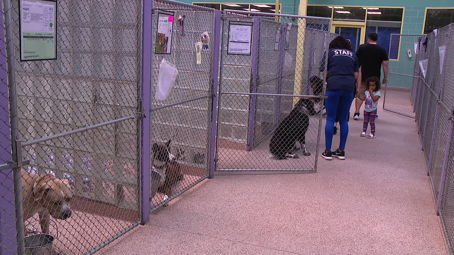 PSPCA Pet Adoptathon in North Philadelphia May 25 and May 26.