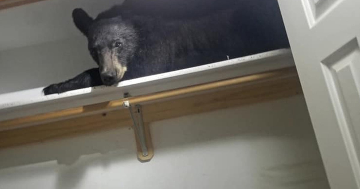 MCSO_SLEEPING_BEAR_MONTANA_1_0