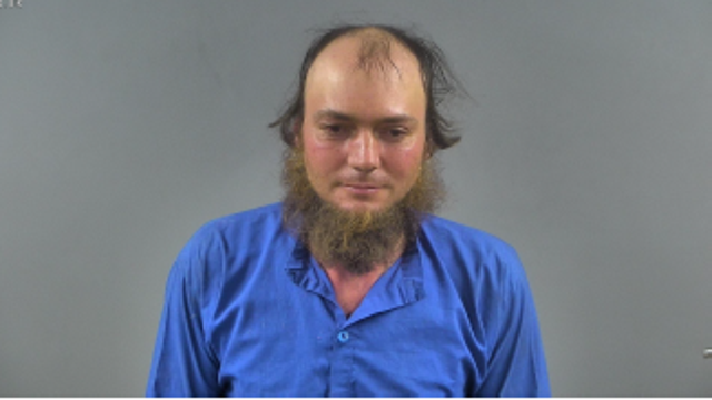 Man faces DUI charges after his horse-drawn carriage sideswipes passing car