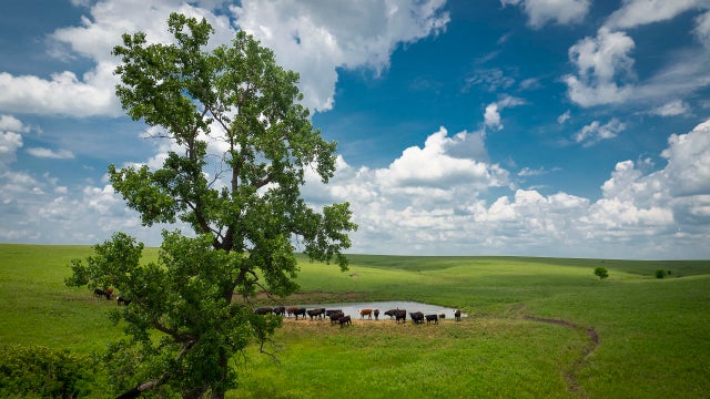 Biden's $5T climate plan: Net zero emissions by 2050