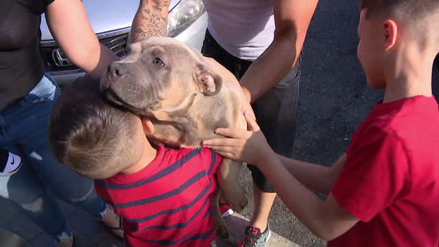 Social media helps reunite family with stolen puppy