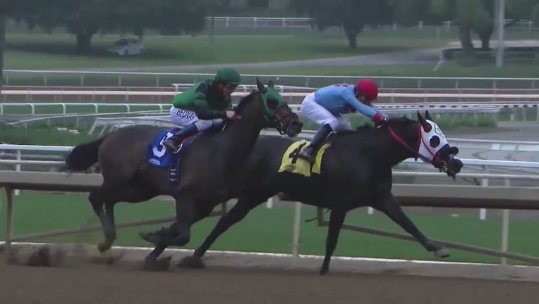 30 horses have died at Santa Anita Park since December 2018.