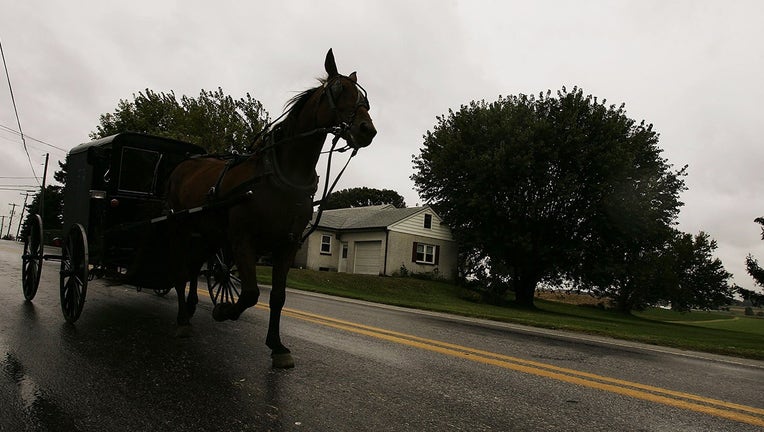 Horse drawn carriage