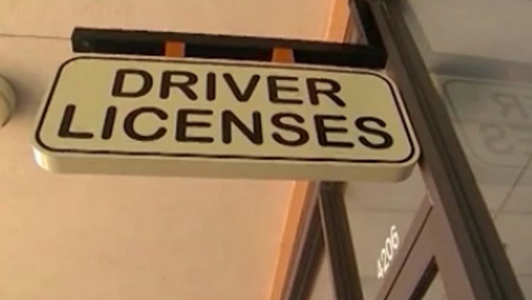 driver licenses