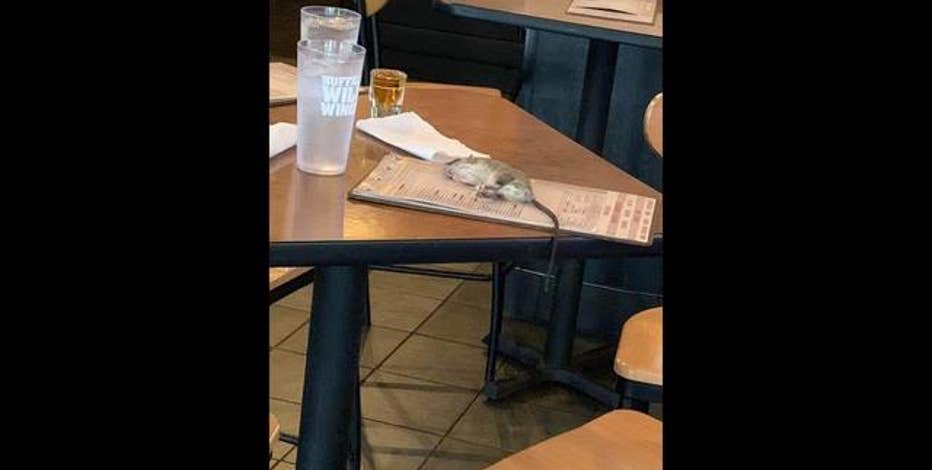 Live rat falls from ceiling and lands on table at Buffalo Wild Wings