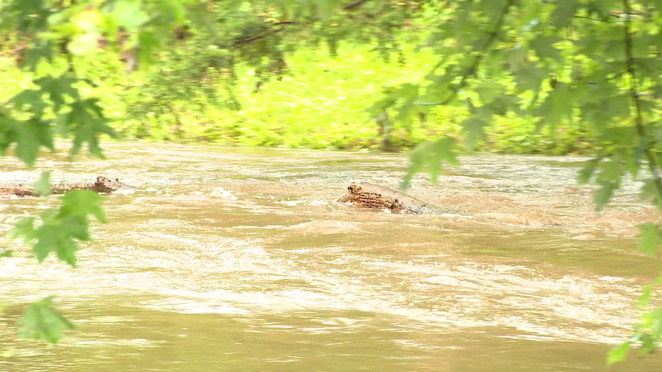 Flooding in Horsham, Pa. Thursday.