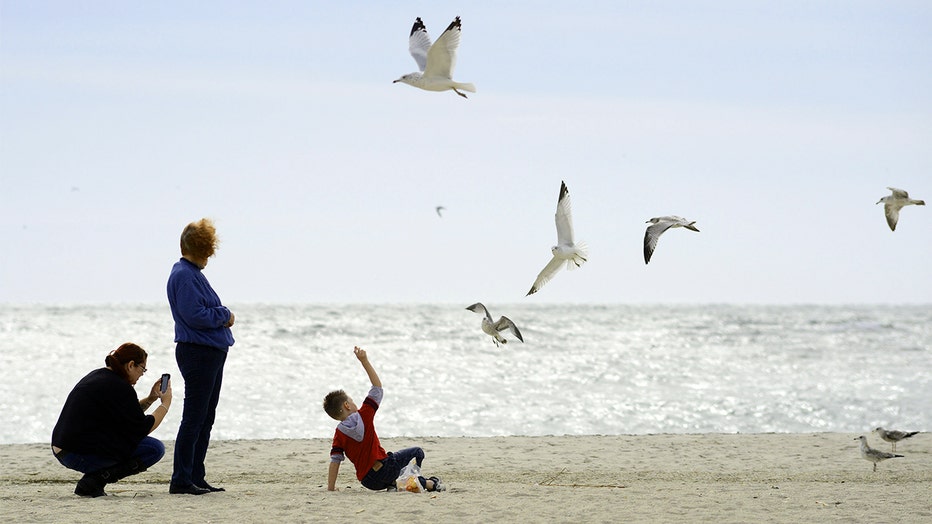 A family from Haskell, New Jersey feeds seagulls on one of the state's southern beaches in Cape May, a city along the Delaware Bay, where an increase of 