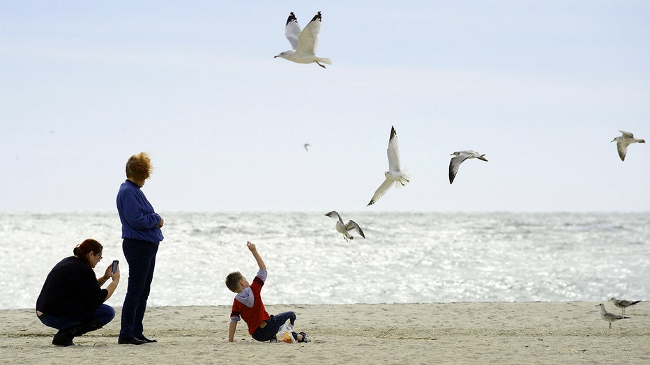 A family from Haskell, New Jersey feeds seagulls on one of the state's southern beaches in Cape May, a city along the Delaware Bay, where an increase of