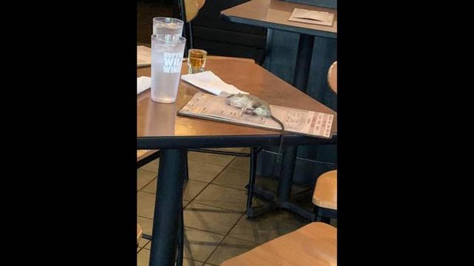 Customer says a rat fell from a Los Angeles area Buffalo Wild Wings.
