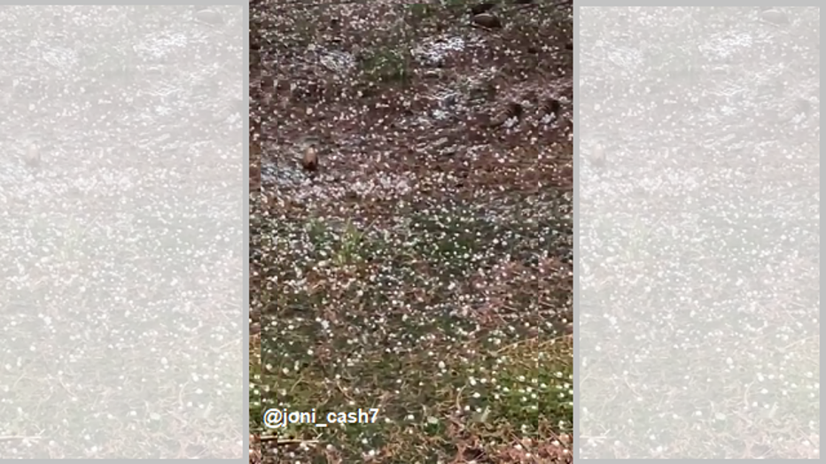 Severe thunderstorms brought hail and drenching rains Sunday across the Delaware Valley.