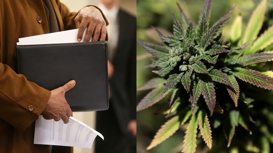 A file photo of an applicant at a job fair, alongside a marijuana plant.