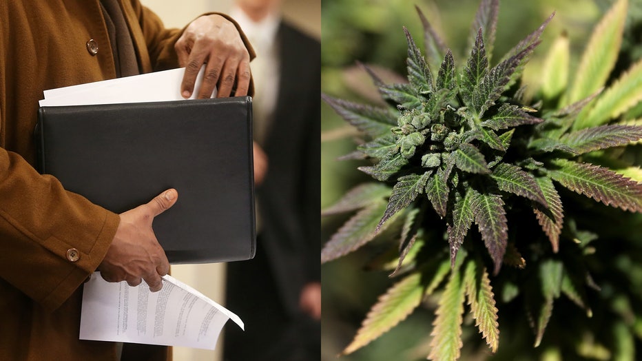 A file photo of an applicant at a job fair, alongside a marijuana plant. 