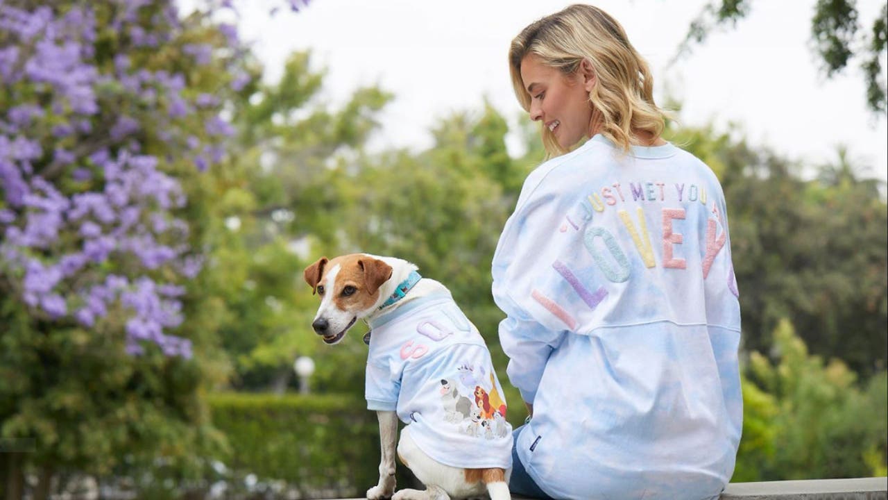 Disney cheap dog clothes