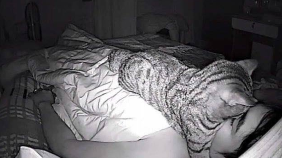 Man sets up camera to find out why he can't breathe at night and it's all because of his cat
