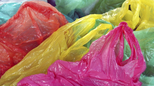 new jersey senate votes to ban single-use plastic, paper bags