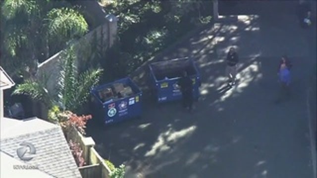 Twin newborns found near California dumpster; 1 survives