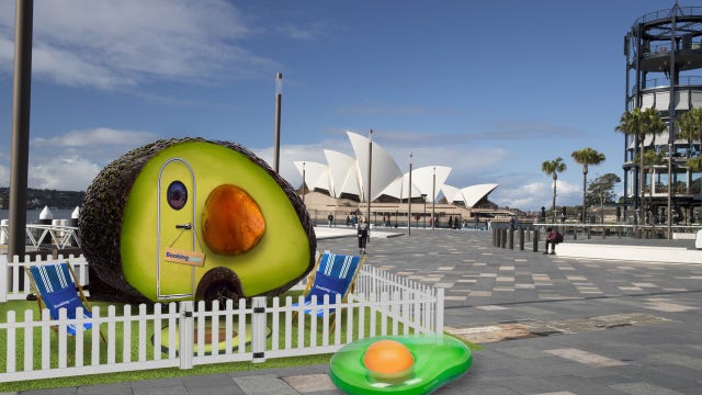 ‘Holy guacamole’: You can now book a stay in the Avo-Condo, the world's first avocado camper