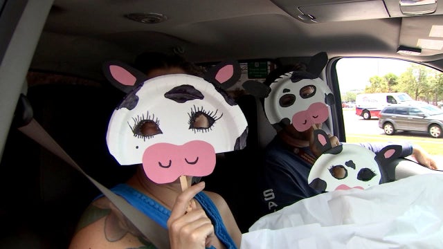 You can get a free Chick-fil-A entree if you dress like a cow on 'Cow Appreciation Day'