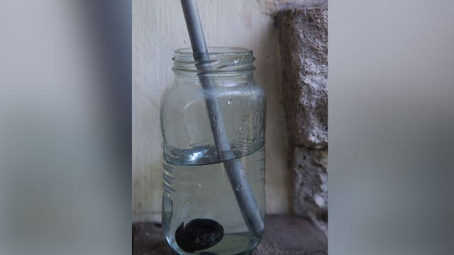 Woman dies after falling on metal straw that went through her eye and impaled her brain