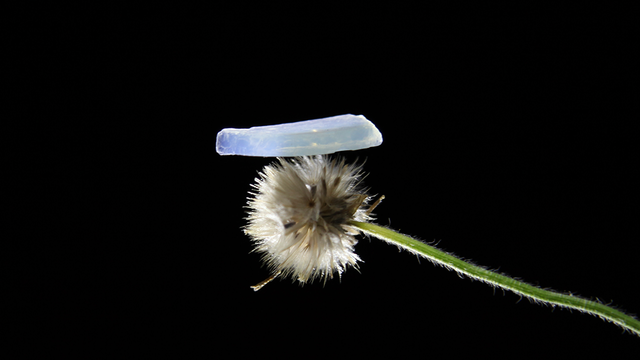 Scientists have found that a jelly-like substance could be the key to making life on Mars possible