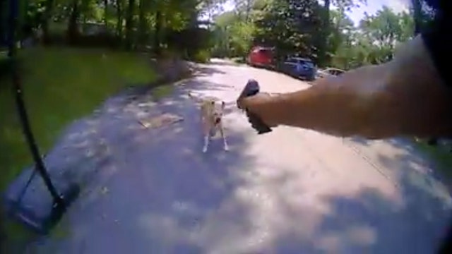 Protest planned against NJ officer who shot, killed dog