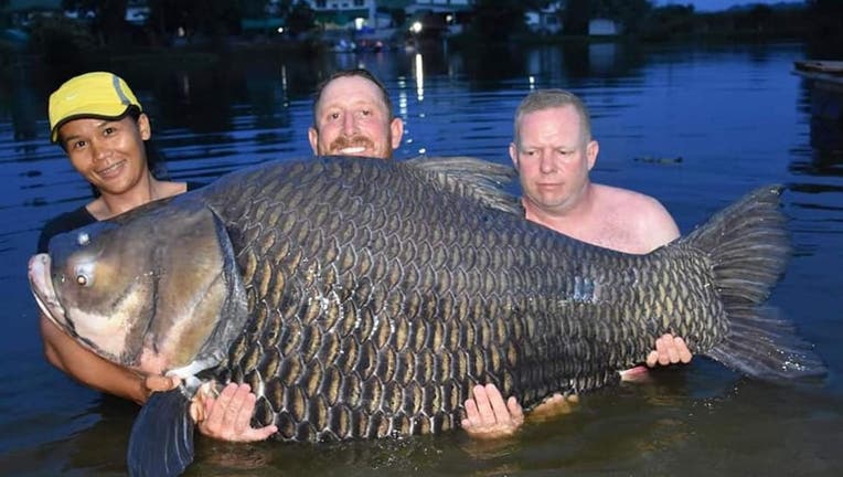 A British man catches reportedly record-breaking size fish.