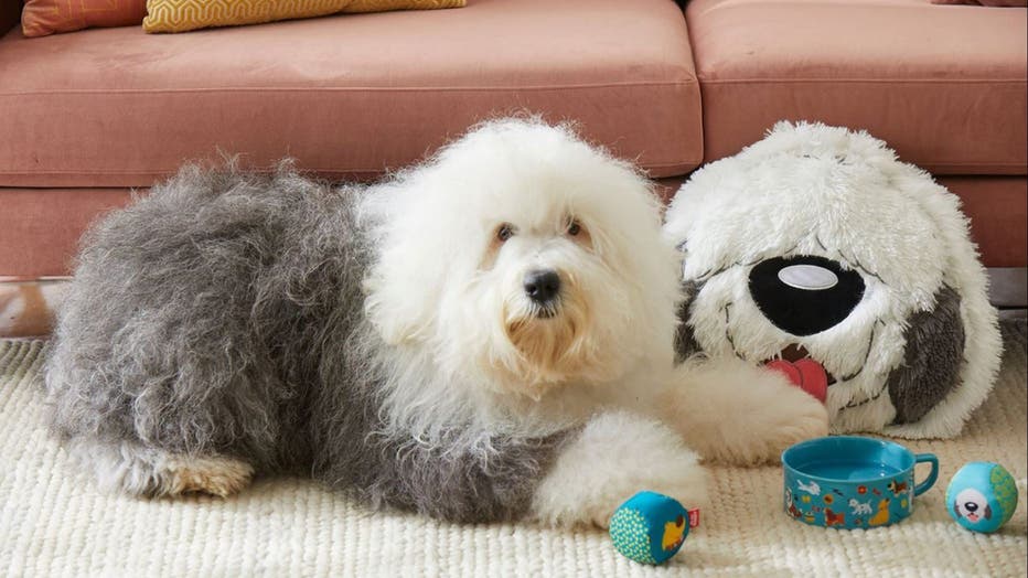 Disney 2025 dog bowls
