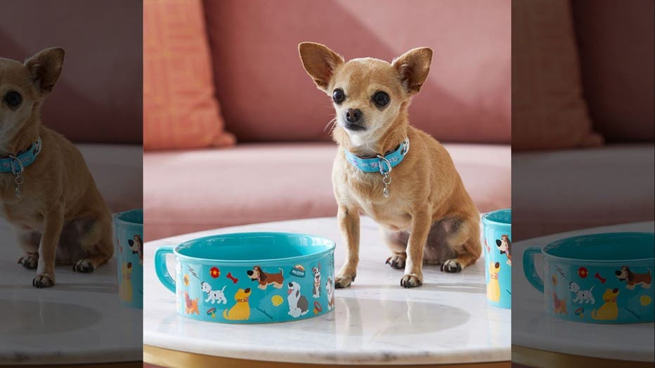 Disney dog clothing shop line