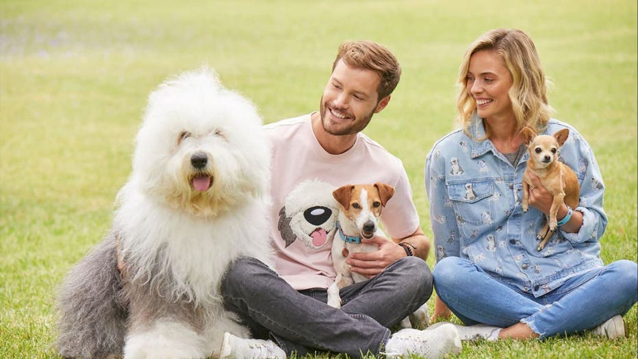 Disney dog clothing line discount