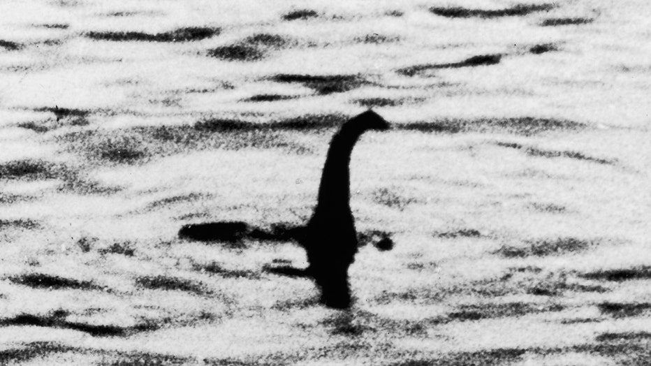 One of two pictures taken in 1934 known as the 'surgeon's photographs,' allegedly showing Nessie. It was later exposed as a hoax by one of the participants. References to a monster in Loch Ness date back to 565 AD.