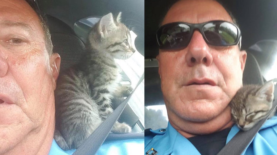 Lafourche Parish Sheriff's Deputy Harry Guillot is pictured with “Crash,” a 4-week-old kitten who was found July 11 in a crashed car in Louisiana. (Photo credit: Lafourche Parish Sheriff's Office)